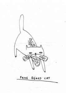 fakeBEARDcat